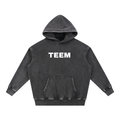 Snow Wash TEEM Hoodie