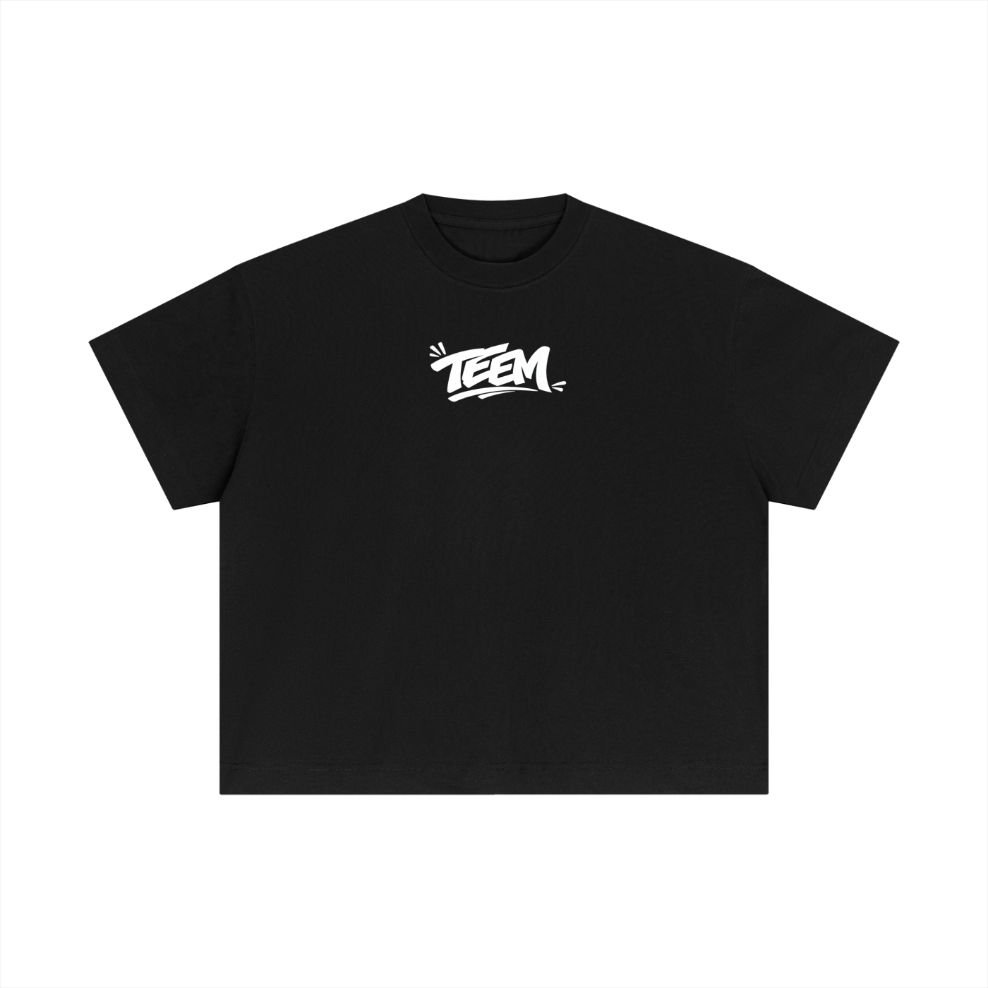 TEEM Graffiti Logo  T-Shirt
