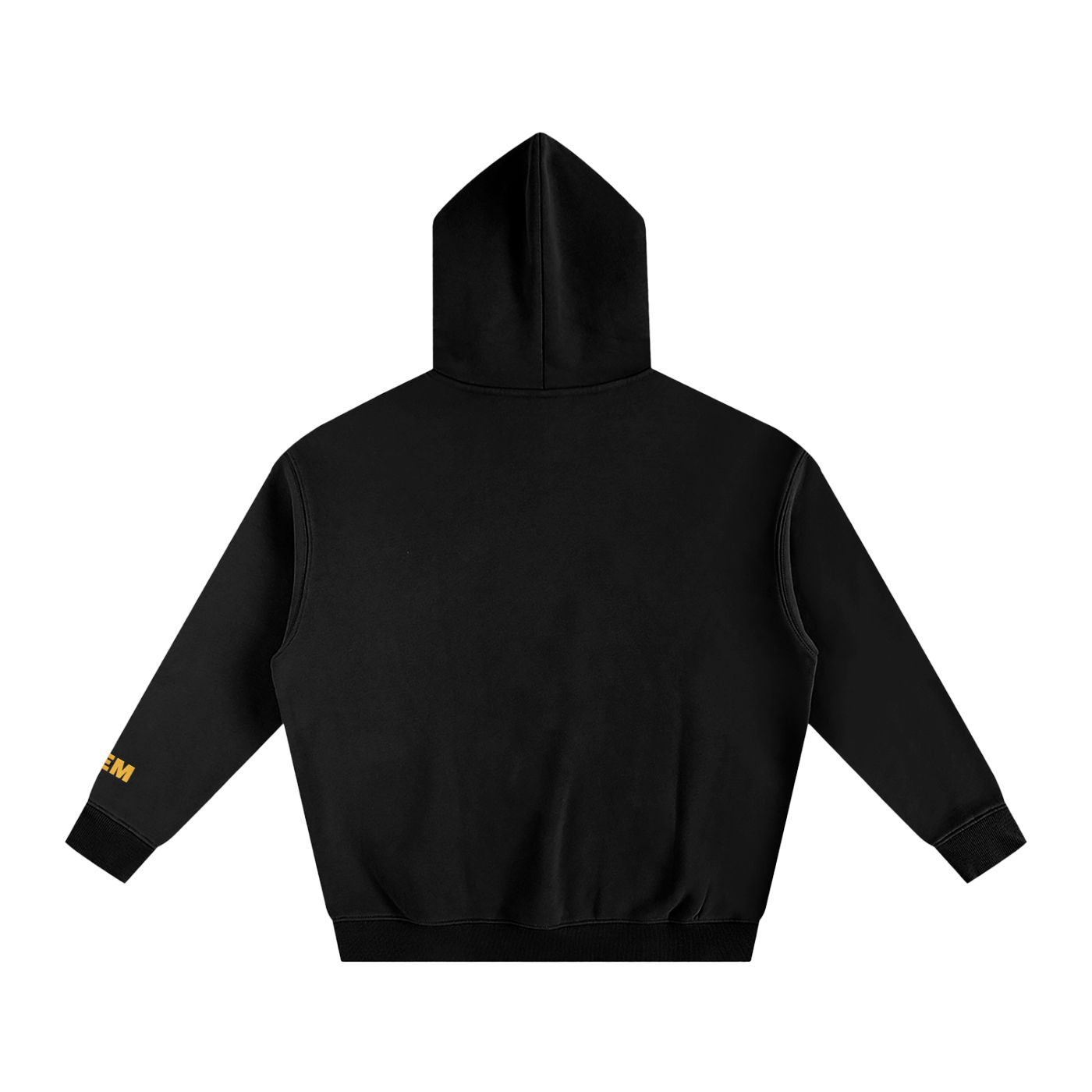 TEEM Logo Hoodie